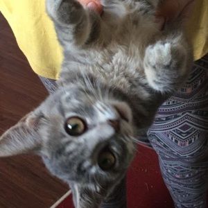 Meet your Posher, Thomas